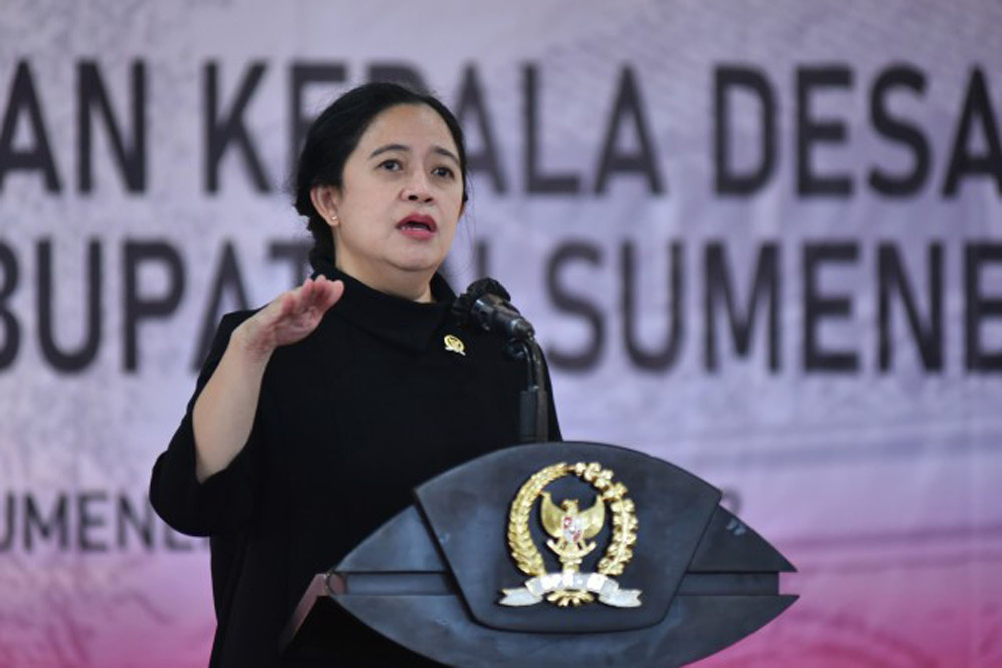 Puan: RI-India Bersama Jaga Stabilitas Kawasan