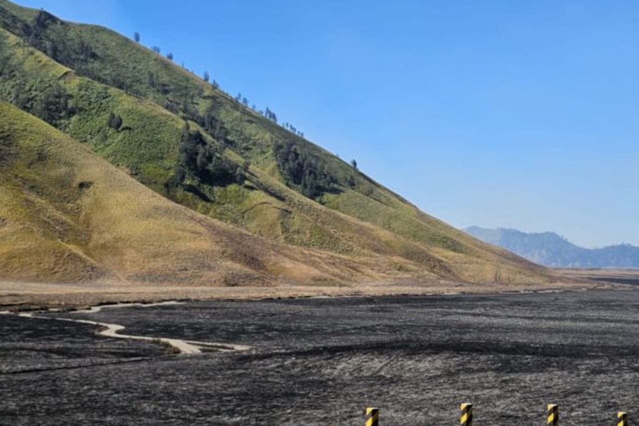 Menhut Serahkan Penyelidikan Karhutla Bromo ke Aparat